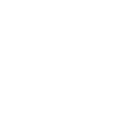 Online video consultation