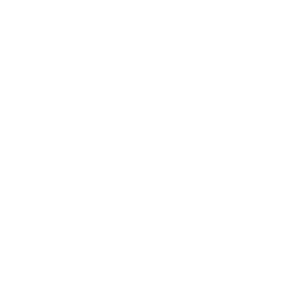 Online video consultation