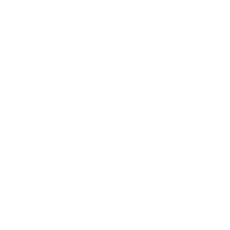 Online video consultation